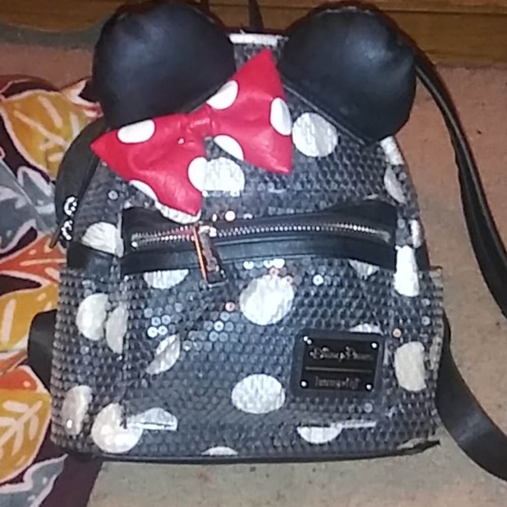 Disneyland back pack